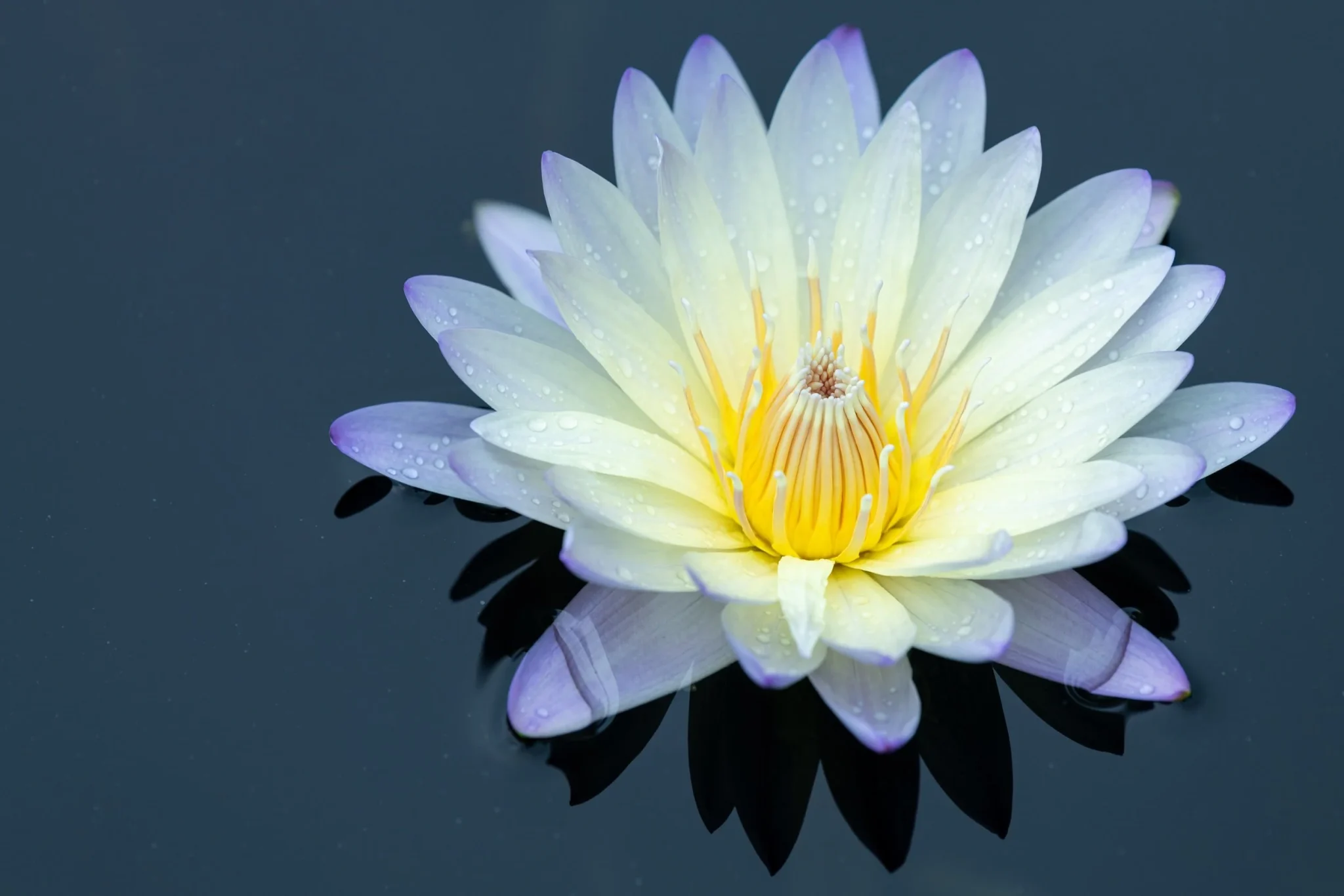 Top Three Meditation Apps