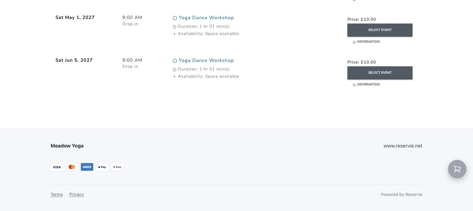 The footer of a published landing page, with the studio name, website, payment methods and terms links